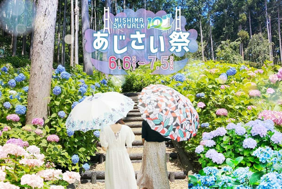 静岡・三島スカイウォークで初夏の風物詩「あじさい祭」開催！6/6日～