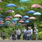 千本松牧場で「アンブレラウォーク」梅雨空に200本の傘！7月12日まで