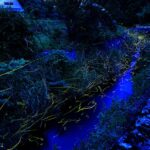 福島「産ヶ沢川ホタル自然公園」へゲンジボタルを見に行こう！6月20日～