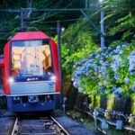 梅雨の季節の風物詩、箱根登山電車「夜のあじさい号」が運行開始！