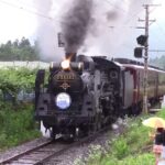 秩父鉄道で「SLちちぶブルーベリーエクスプレス」運行！ 6/21日