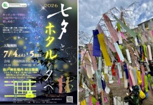 松戸駅前で「七夕とホタルの夕べ」開催！キッチンカーや大道芸も  7/4日～