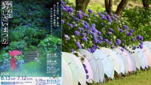 茨城県「涸沼自然公園」で、あじさいまつり開催中！ 7月12日まで