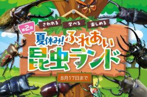 名古屋・星ヶ丘三越で「夏休み！ふれあい昆虫ランド」開催！8月17日まで