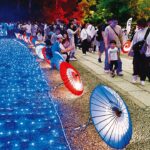 埼玉・大宮の氷川神社で七夕イベント「和傘の杜」開幕！7月7日まで