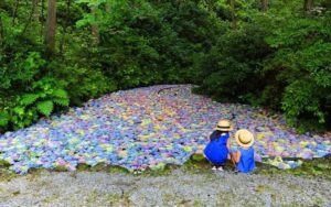 一関市「みちのくあじさい園」で、約400種5万株のアジサイが咲き誇る！