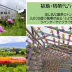 猪苗代ハーブ園で、約3千個の風車「風車そよかぜロード」開催中！