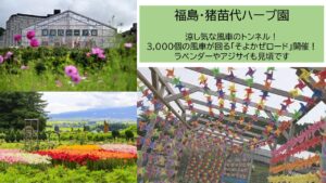 猪苗代ハーブ園で、約3千個の風車「風車そよかぜロード」開催中！