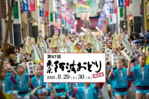 日本三大阿波踊りの一つ「第67回 東京高円寺阿波おどり」開催！8/29日～
