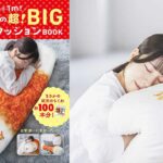 紀文が「長さ1m！紀文の超！BIGちくわクッションBOOK」発売！11月30日