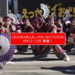 【小田原】えっさホイおどり2026開催！約50チームが熱演  9/12・13日