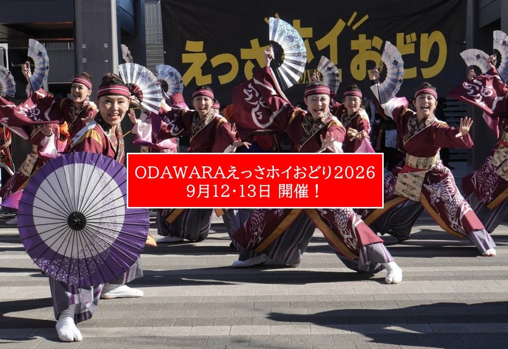 【小田原】えっさホイおどり2026開催!約50チームが熱演 9/12・13日