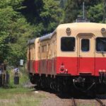 小湊鉄道「たべあるきっぷ」10月10日緊急発売！沿線グルメで復興を応援！