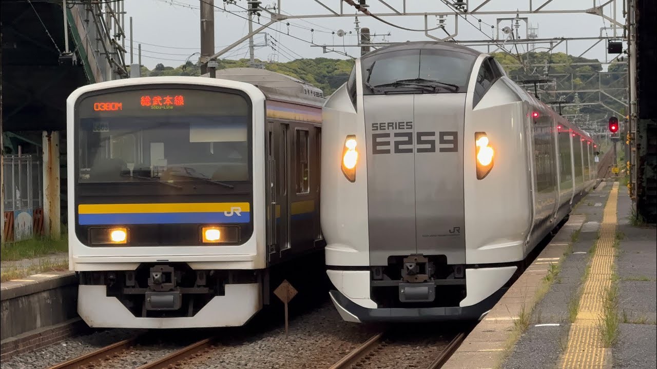 総武本線、全線で運転再開へ! 特急「しおさい」も全列車復活!10月19日~