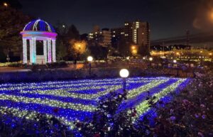 ヴェルニー公園で「横須賀ウインターイルミネーション」開催！11月中旬～
