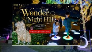 大阪・堺市で100万球超の光の祭典「Wonder Night Hill」開幕！10月30日