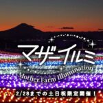 マザー牧場で冬季イルミイベント「マザーイルミ2026」開幕！10月31日～