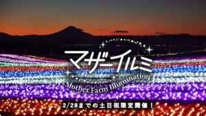 マザー牧場で冬季イルミイベント「マザーイルミ2026」開幕！10月31日～